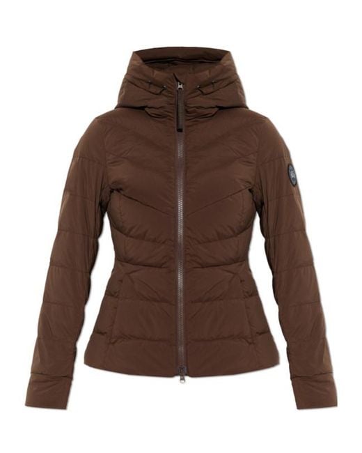 Canada Goose Brown Down Jackets