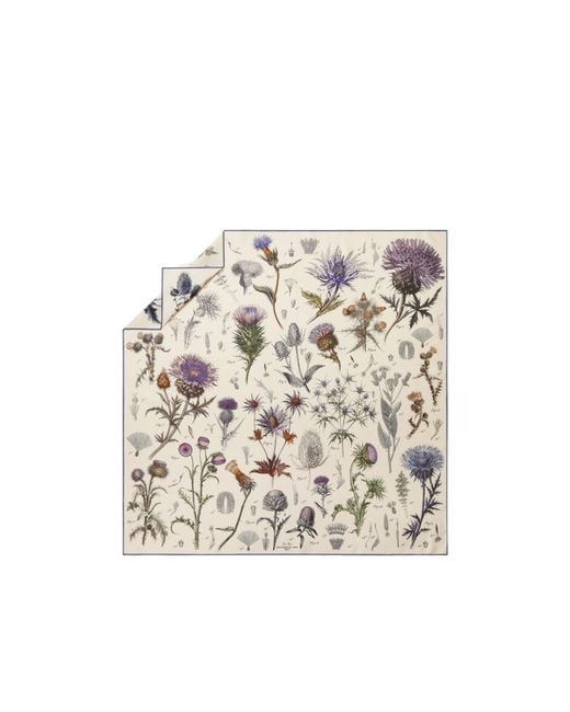 Loro Piana White Enciclopedia Del Cardo Silk Scarf