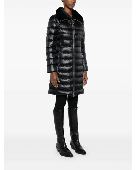 Herno Black Parkas