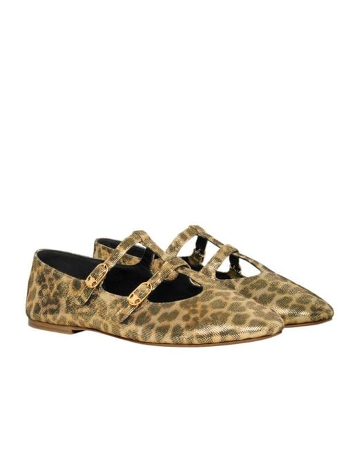 Céline Brown Les Ballerines Babies