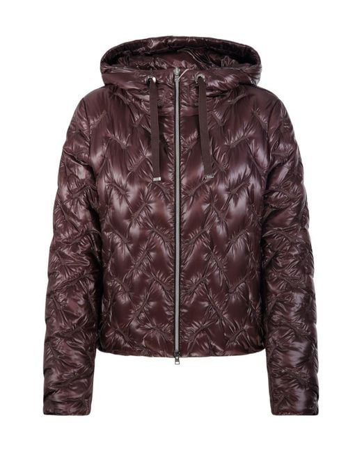 Herno Purple Zip-Up Hooded Jacket