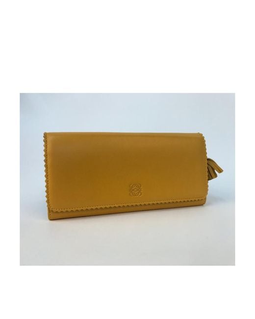Loewe Multicolor Zipper Wallet