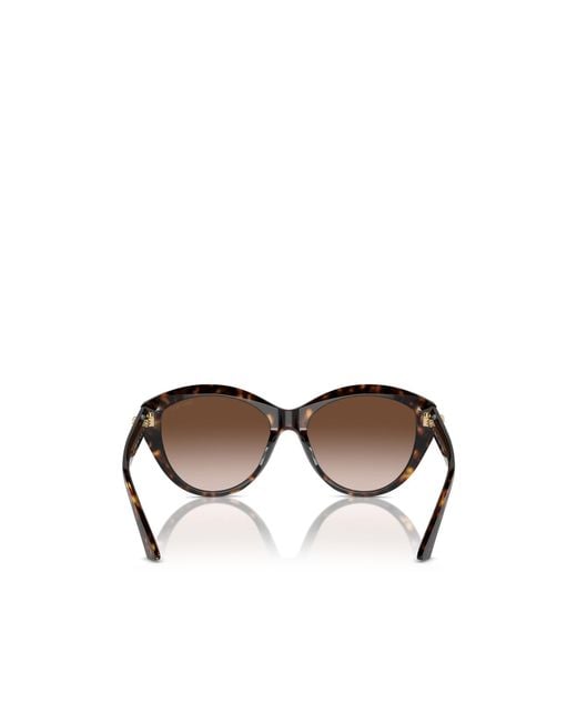 Jimmy Choo Multicolor Eyewear Cat-Eye Frame Sunglasses