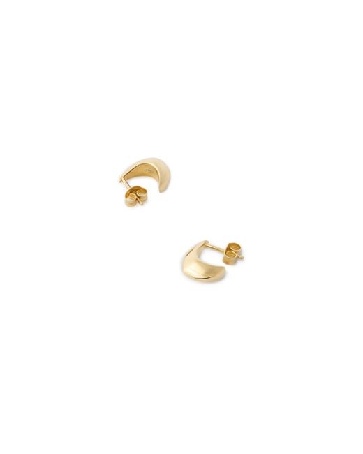 Lemaire Metallic Micro Pendants Earrings