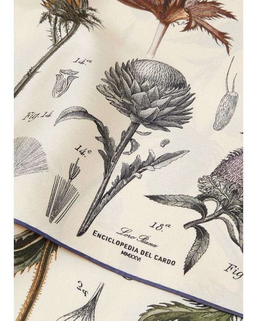 Loro Piana White Enciclopedia Del Cardo Silk Scarf