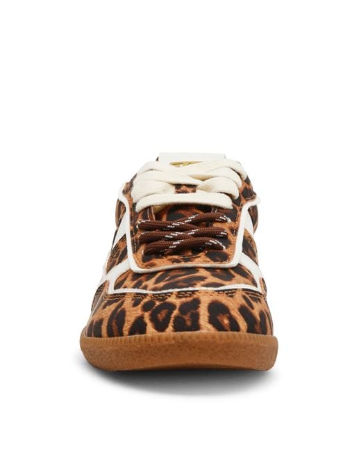 Steve Madden Brown Simple Low-Top Casual Shoes