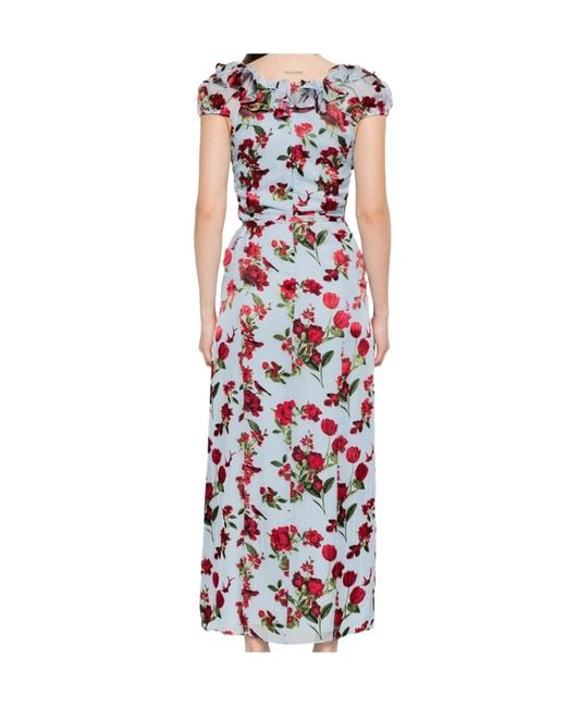 Alice + Olivia White X Stacey Bendet Tara Floral-Print Ruffled Midi Dress