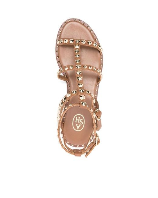 Ash Brown Studded Flat Sandals