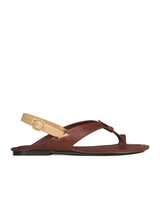 Céline Brown Onyx Thong Sandal