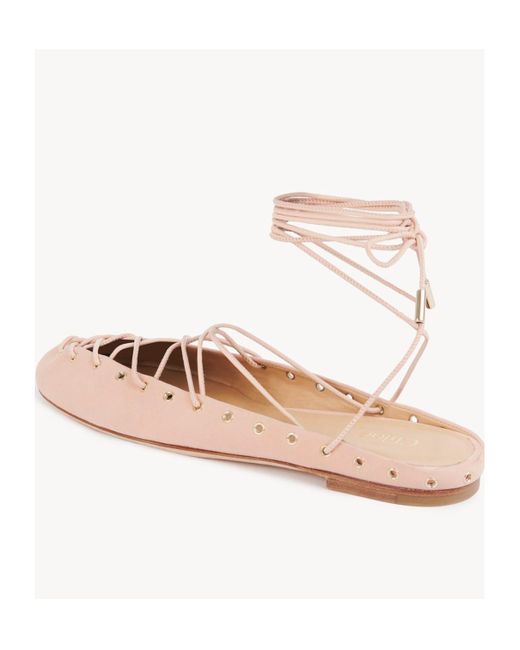 Chloé Multicolor Chloé Ghillies Almond Toe Ballerina Shoes