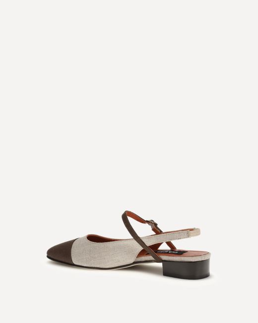 CAREL PARIS Brown Carel Oceano Buckle Fastened Ballerinas