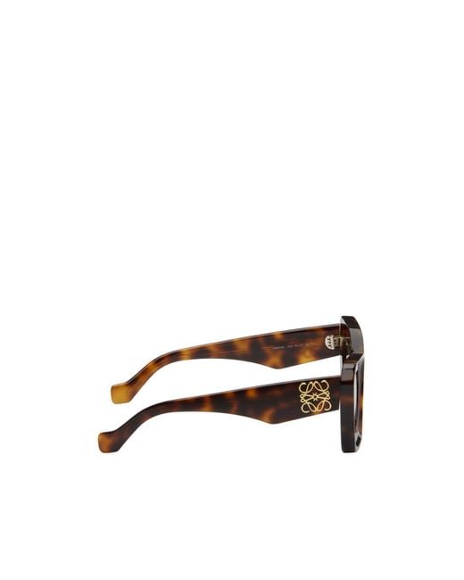Loewe Multicolor Cat-Eye Frame Sunglasse