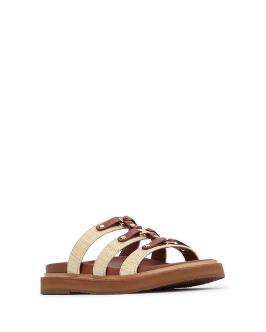 Céline Brown Tippi Slippers