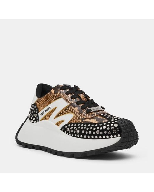 Steve Madden Multicolor Low-Top Casual Shoes
