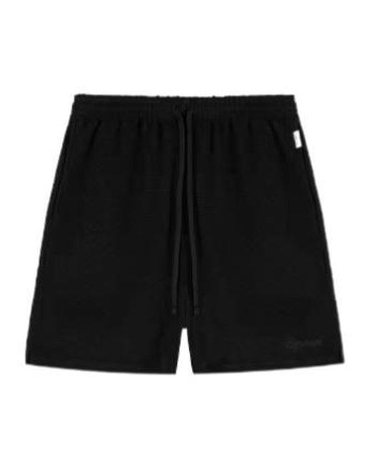 Represent Black Waffle Shorts for men