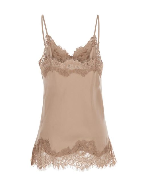 Gold Hawk Brown Lace Trim Camie Top