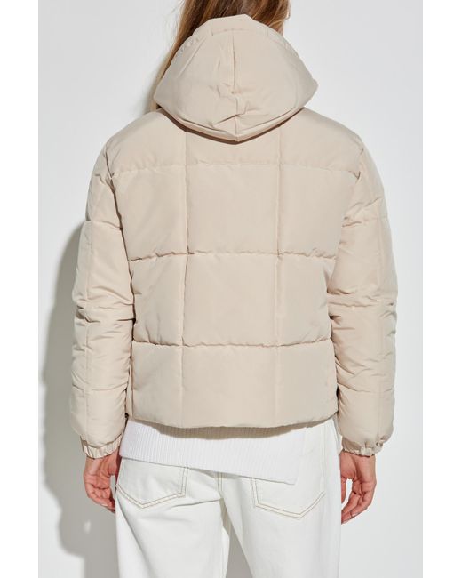 EA7 Natural Quilted Insulated Padded Jacket