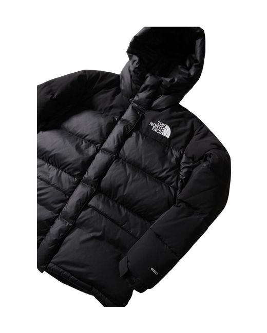 The North Face Brown Classic Warm Down Jacket