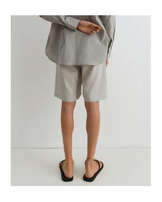 GIMAGUAS Gray Nicolas Pinstripe Shorts for men
