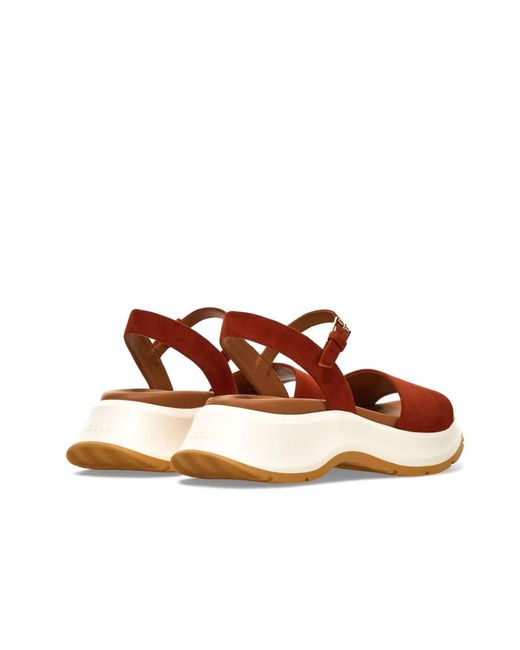 Hogan Brown Buckle Strap Sandals