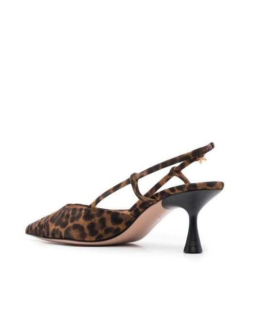 Gianvito Rossi Brown Ascent Pointed-Toe Slingback Pumps