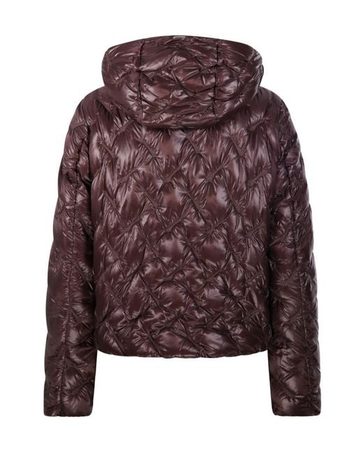Herno Purple Zip-Up Hooded Jacket
