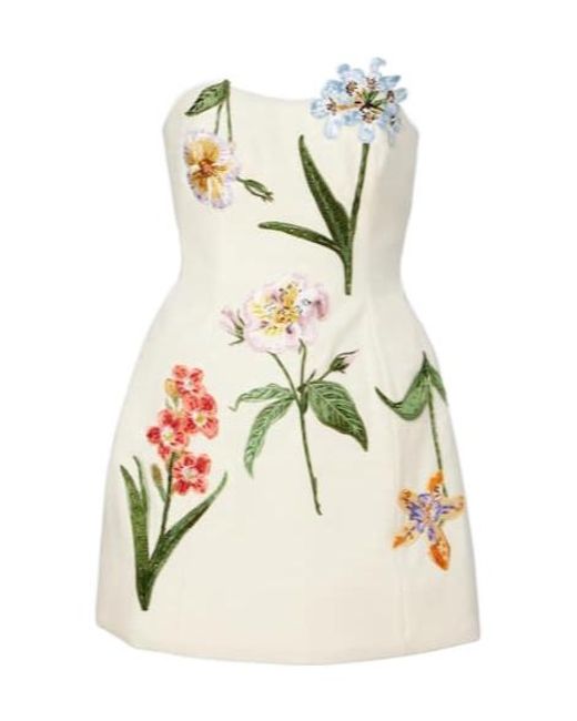 Leo White Rosario Embroidered Velvet Minidress