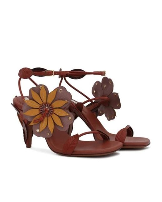 Zimmermann Brown Brightside Sandals