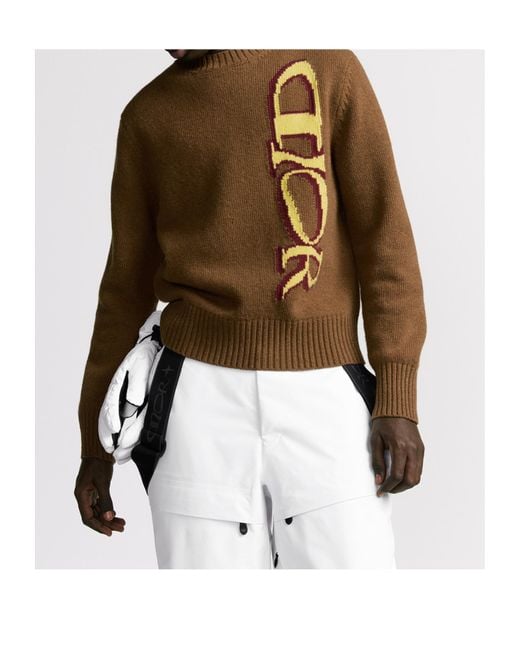 Dior Brown And Lewis Hamilton Sweater for men
