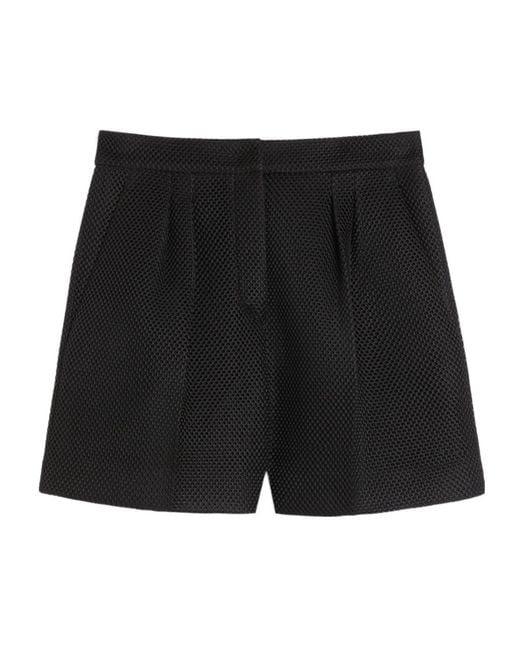 Max Mara Black Avena Shorts