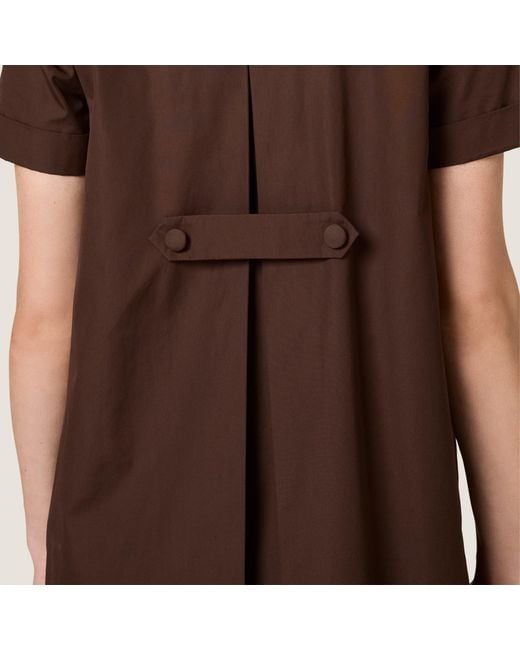 Miu Miu Brown Poplin Dress