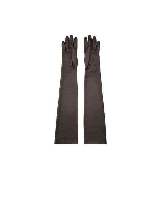 The Row Multicolor Simon Gloves