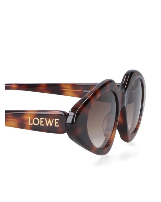 Loewe Multicolor Full Frame Sunglasses