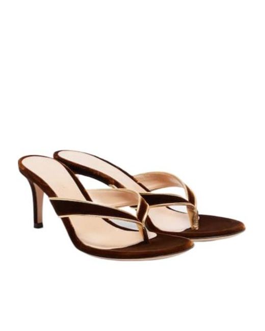 Gianvito Rossi Brown Leather-Trimmed Velvet Mules