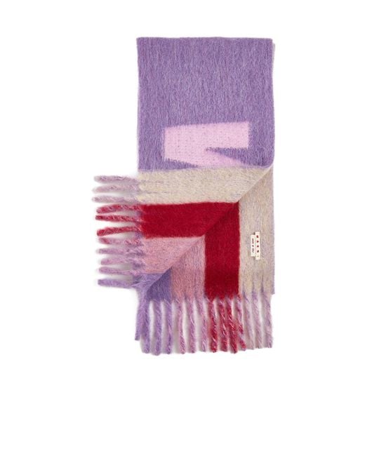 Marni Purple Scarfs