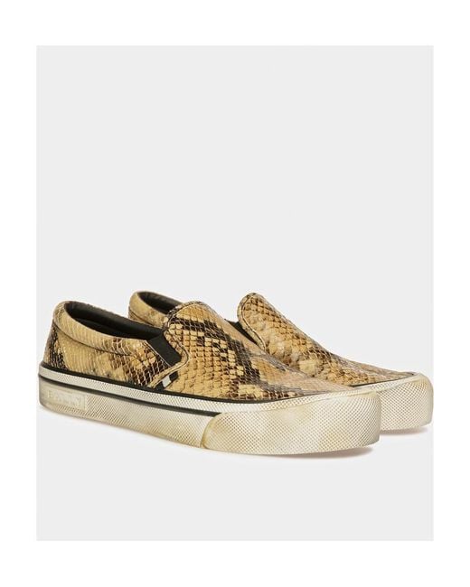 Bally Multicolor Santa Ana Python Printed Sports Shoes for men