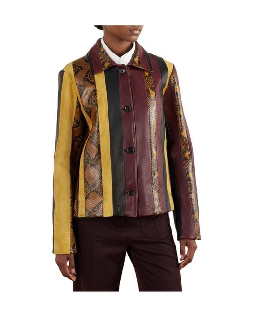 Proenza Schouler Brown Striped Suede-Trimmed Snake-Effect Leather Jacket