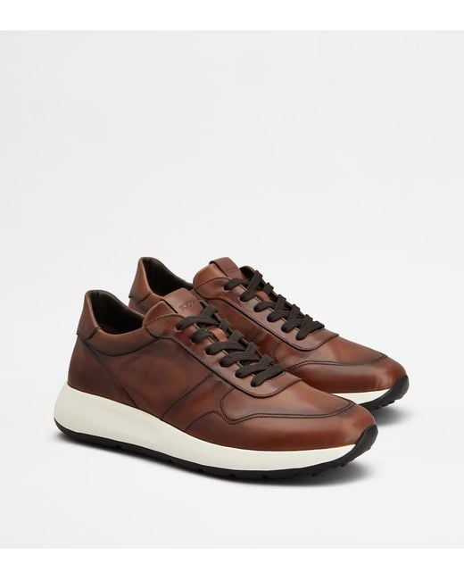 Tod's Brown Low-Top Sneakers for men