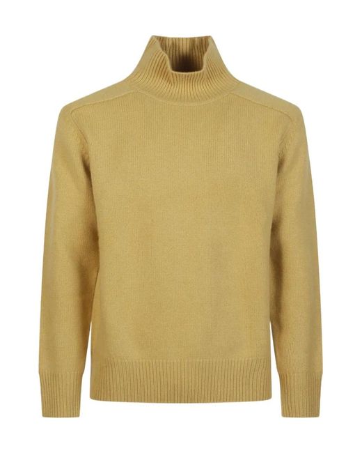 Soft Goat Green Turtleneck Sweater for men