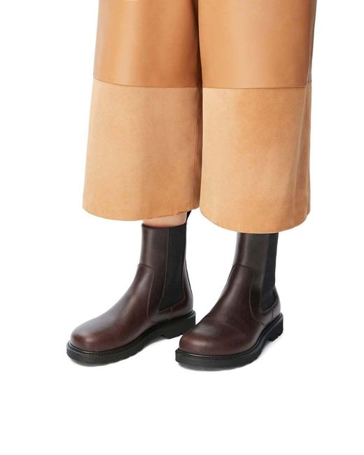 Loewe Brown Blaze Chelsea Boot