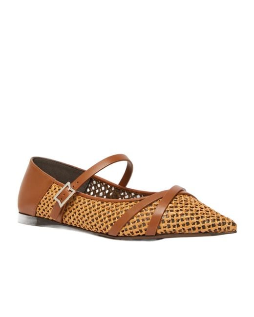 Max Mara Brown Buckle Detailed Pointed Toe Flat Shoes