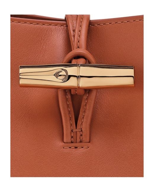 Longchamp Brown The Roseau Medium Hobo Bag