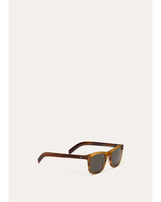 Loro Piana Multicolor Horsey Sunglasses for men