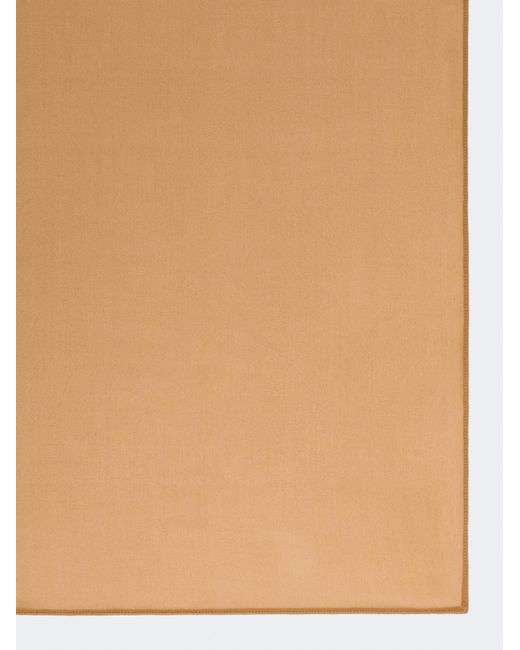 Max Mara Natural Mxastarna Classic Georgette Scarf