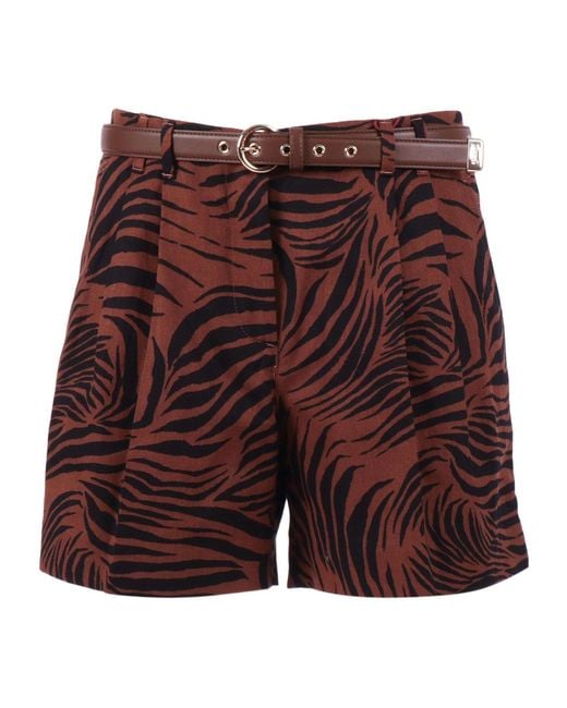 Max Mara Red Studio Novella Pattern-Printed Shorts