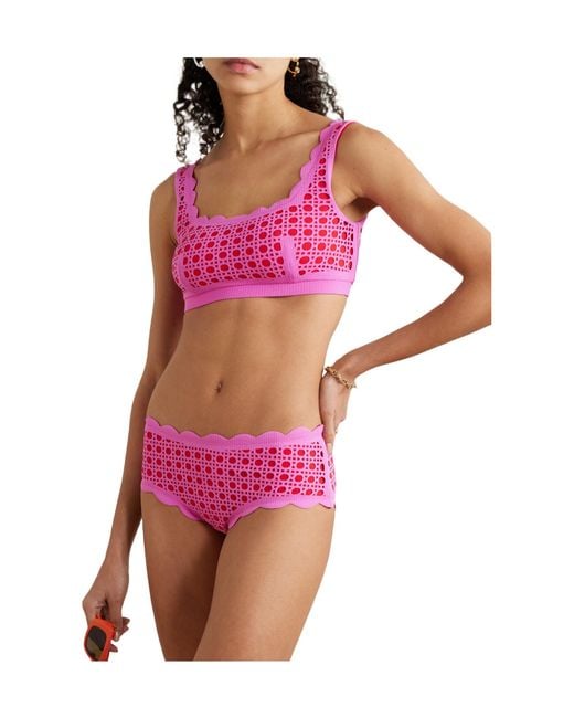 Marysia Swim Pink Spring Scalloped Laser-Cut Bikini Briefs
