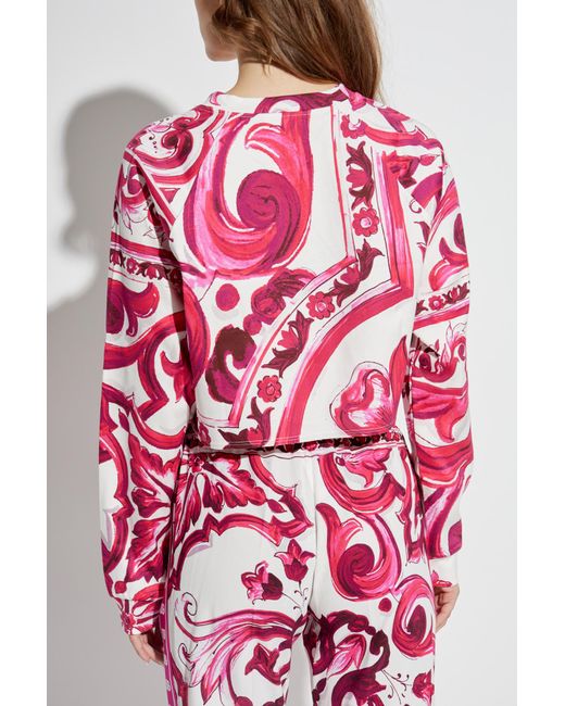 Dolce & Gabbana Pink Majolica Pattern Cropped T-Shirt