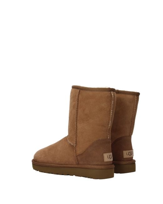 Ugg Brown Classic Short Ii Boots