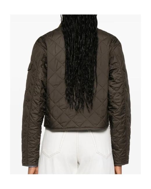 Moncler Brown Long Sleeve Jacket
