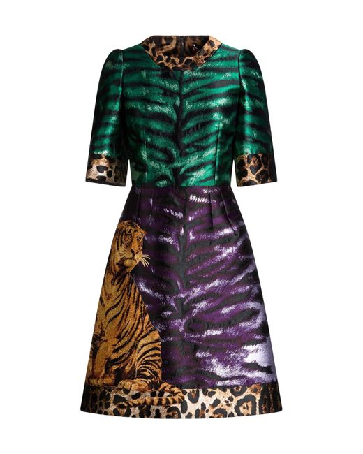 Dolce & Gabbana Green Animal Print Short-Sleeve Dress
